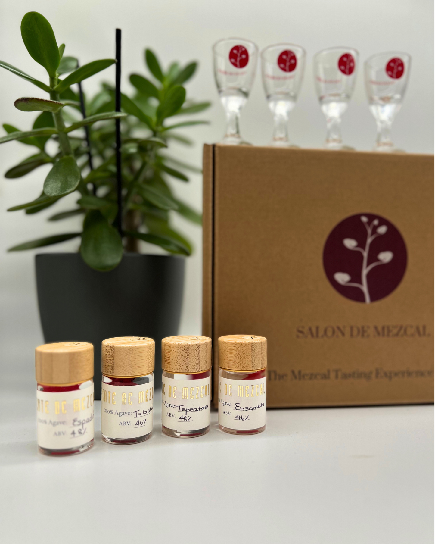 CLASSIC COLLECTION Tasting Box