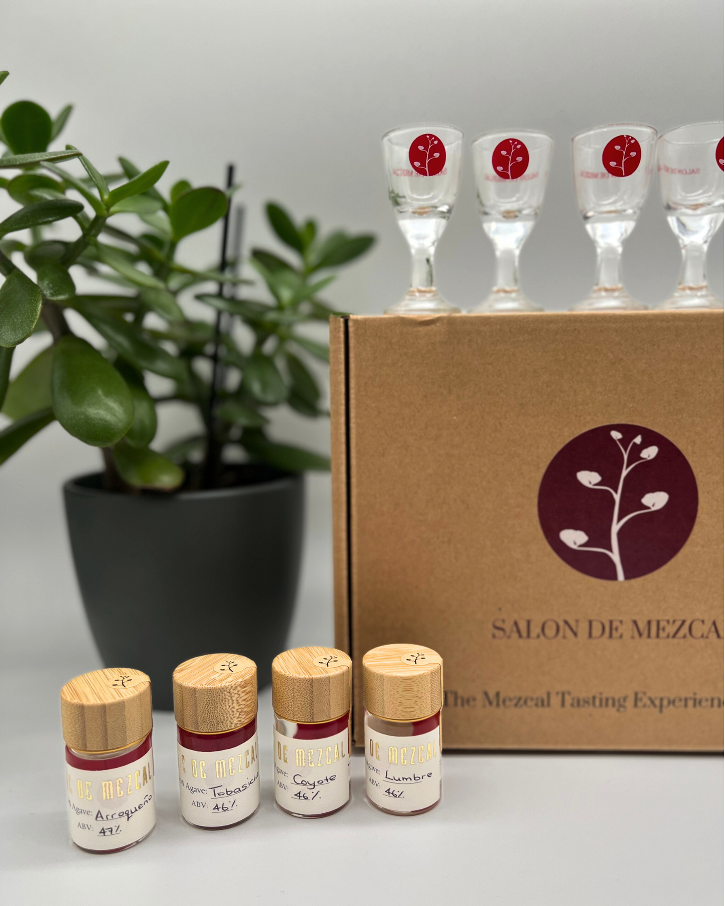 LIMITED EDITION Tasting Box